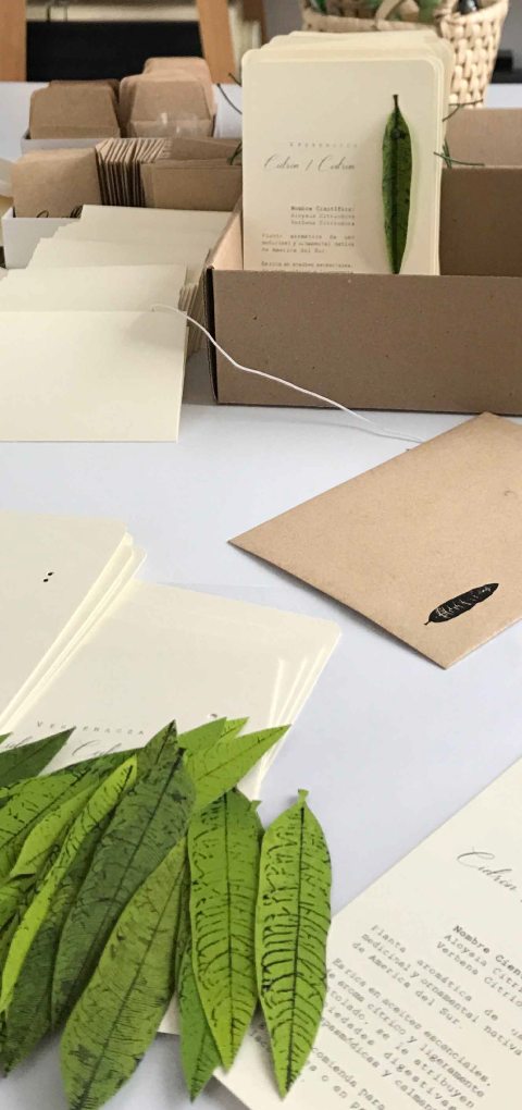 tarjetas_Postales_Leaftones Tarjetas y Postales en papeles finos de la marca Leaftones creado por Diana Herrera Design