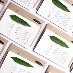 Terjetas sembrables con semillas de cidrón