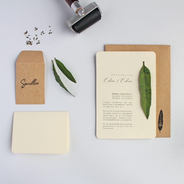 Tarjetas con grabado en tinta litográfica de la hoja de cidron